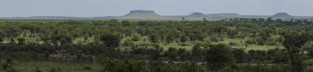 Scenery Landscape